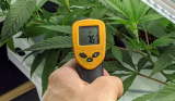 VPD Meters for Plants